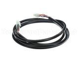 CB-46009 Alto Shaam 10 Pin Wire Harness, 6Ft Long