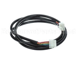 CB-46009 Alto Shaam 10 Pin Wire Harness, 6Ft Long