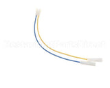 CH138L Grindmaster Cecilware 2-Wire Pigtail-Liq Probe-Gb8