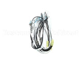 CH184 Grindmaster Cecilware Wiring Kit - Cm36Q