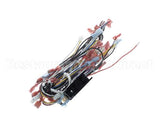 CH362 Grindmaster Cecilware Harness (1&2 Brew) - Fen Urn