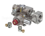 CK1027001 Garland Auto Safety Valve 1/2 Npt Kit