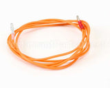 CK2200200 Garland 48In Ht Wire Leads