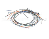 CK4525624-1 Garland Wire Pkg Heeg24 120Vac