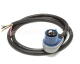 CK4529043 Garland Plugcord;208-240V3Ph30A Pinslv