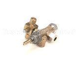 CK4601579 Garland Flame Failure Valve Assembly