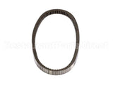 CP-105 Hammerall Belt