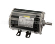 CPHD56FL651 Bryant Payne Motor