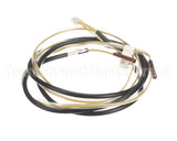 CV6231924672 Sanyo Themister