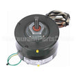 D1065 Fasco Oem Replacement Motor