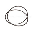 D2-566 Insinger O Ring