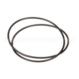 D2-566 Insinger O Ring