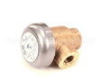 D2438A Insinger Vacuum Breaker 1/4 Rough Brass