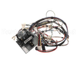 D519030 Alliance Timer And Harness Kit