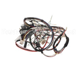 D519030 Alliance Timer And Harness Kit