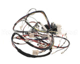 D519030 Alliance Timer And Harness Kit