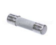 DE9-268 Insinger Fuse 250V/6.3Amp Ceramic Rl30