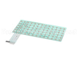 E00827 Globe Keypad Membrane