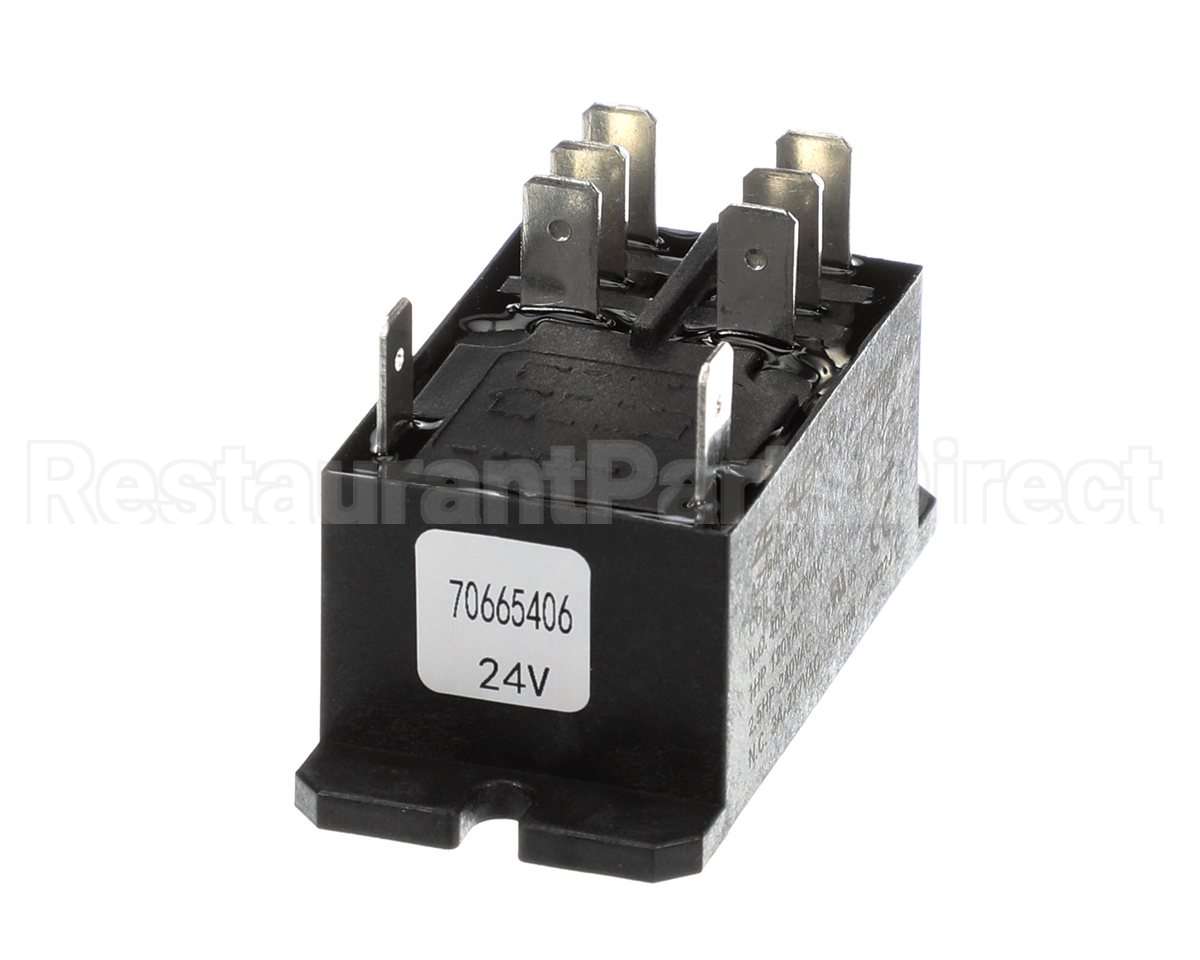 E030-70665406 Intl Environmental Corp Electrical Relay Dp 24V