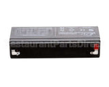 E133100 Globe Storage Battery