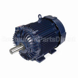 E247 Marathon Motor