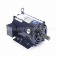 E317M2 Century Motor