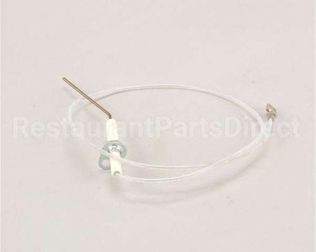 E502676 Eloma Ionisation Electrode