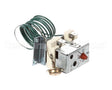E504602 Eloma Safety Temperature Hi-Limit