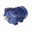 E504A Marathon Motor