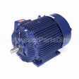 E569 Marathon Motor