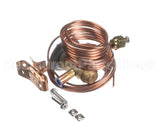 EA36YP020 Bryant Payne Expansion Valve