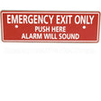 ECL228 Compatible Detex Plate, Paddle Bar, Emer Exit