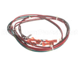 ELC0164 Duke 480 Xfmr Harness