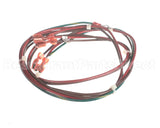 ELC0164 Duke 480 Xfmr Harness