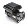ELV08SQ Century Pool And Spa Pump Motor