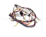 ENC-1810 Turbochef Harness, Line Voltage, Combo