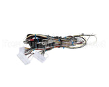 ENC-3070 Turbochef Low Voltage Harness