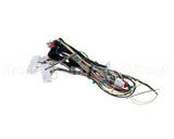 ENC-3070 Turbochef Low Voltage Harness
