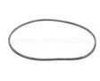 EV094400 Everpure Gasket Sq. Cut T-9/20