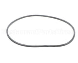 EV094400 Everpure Gasket Sq. Cut T-9/20