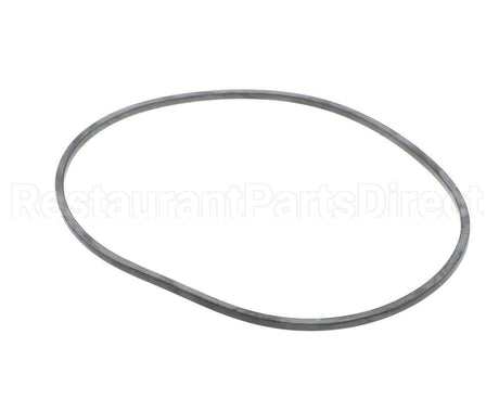 EV094400 Everpure Gasket Sq. Cut T-9/20
