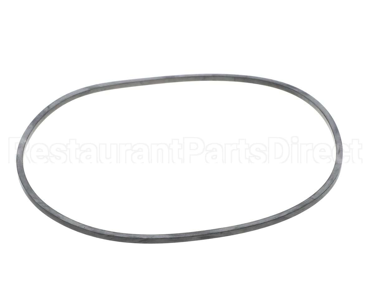 EV094400 Everpure Gasket Sq. Cut T-9/20