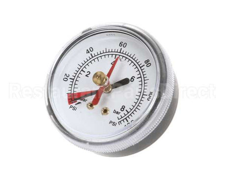 EV306818 Everpure Back Mnt Brass Gauge 0-125 Psi