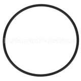 EV307119 Compatible Everpure O-Ring