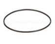 EV307119 Everpure Replacement O-Ring