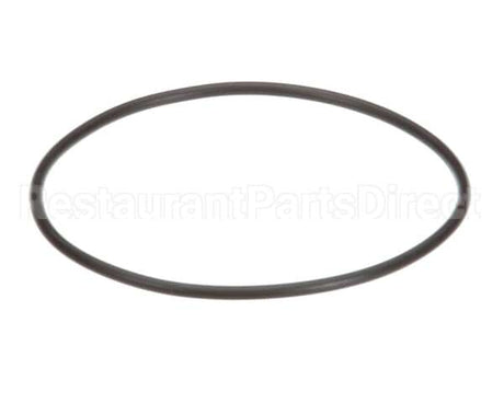 EV307119 Everpure Replacement O-Ring