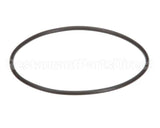 EV307119 Everpure Replacement O-Ring
