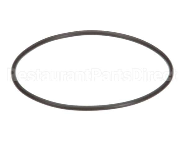 EV307119 Everpure Replacement O-Ring