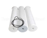 EV910534 Everpure Cb20-312E Repl Cartridge Kit
