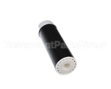 EV910813 Everpure Cgt-10S